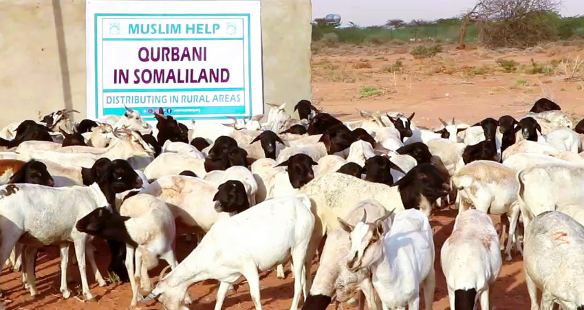 Qurbani Appeal