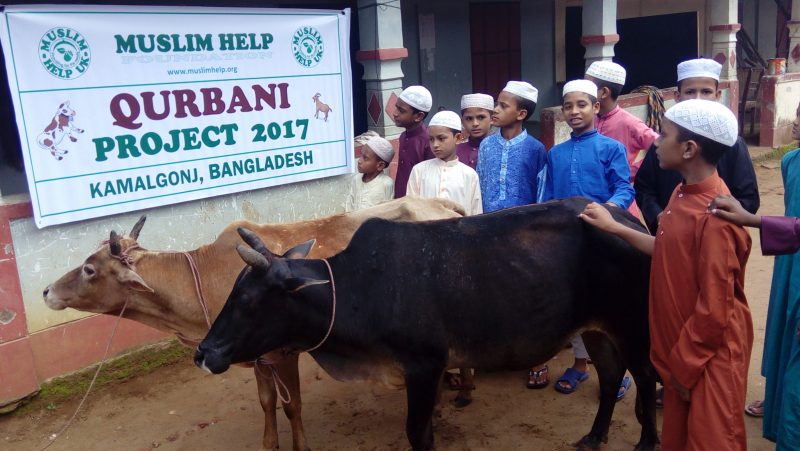 Qurbani – Muslim Help UK